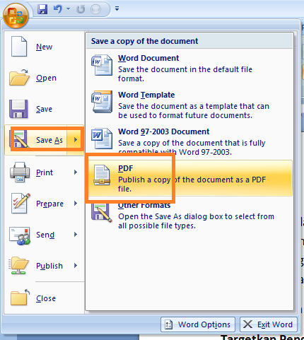 Terbukti Mudah! 5 Langkah Cepat Cara Mengubah Word ke PDF di Word 2007 Sebelum Terlambat