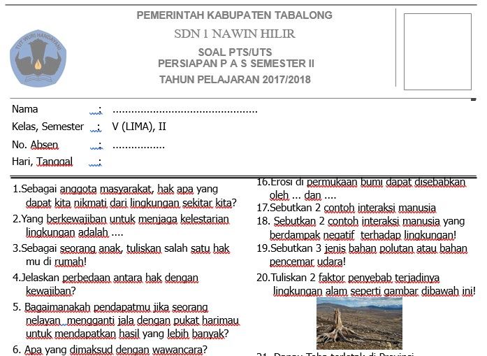7 Contoh Soal Tentang Wawancara Kelas 4 SD yang Wajib Diketahui Agar Nilai Sempurna